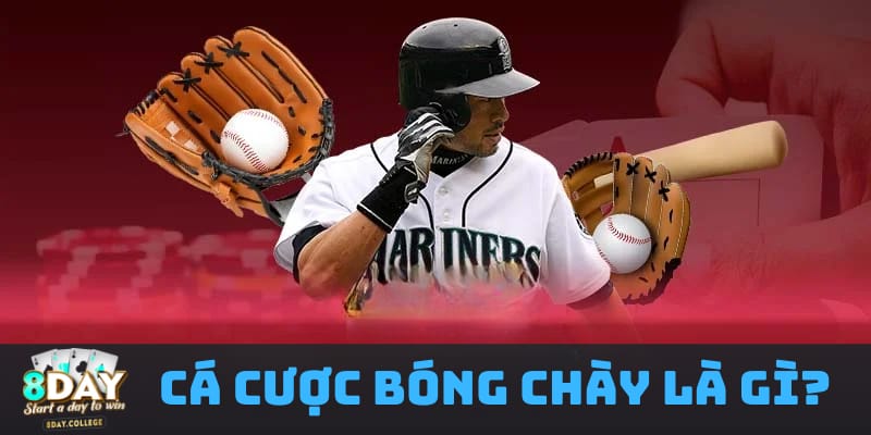 tim-hieu-chi-tiet-ve-ca-cuoc-bong-chay