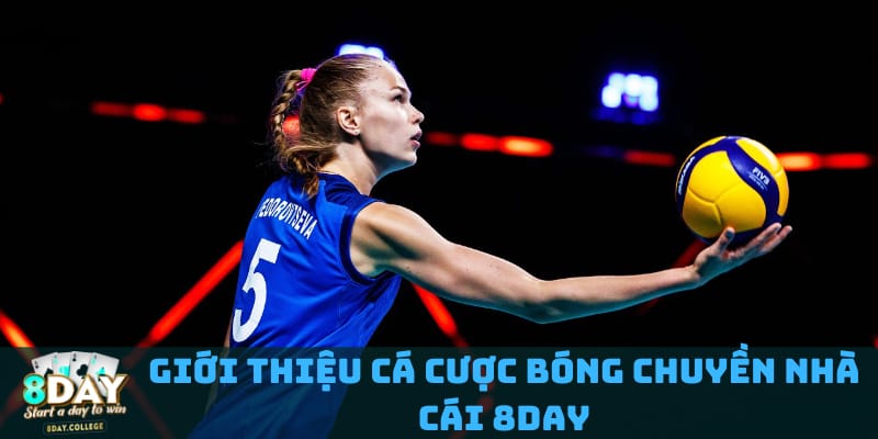 tim-hieu-ve-ca-cuoc-bong-chuyen-nha-cai-8day