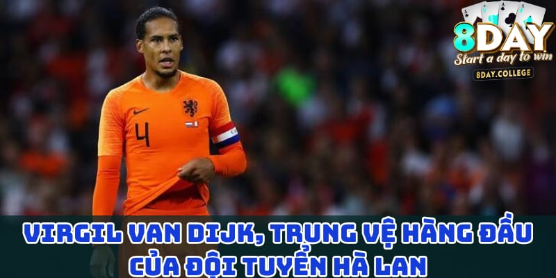 virgil-van-dijk-trung-ve-hang-dau-cua-doi-tuyen-ha-lan